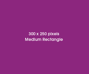 Banner_300x250.gif
