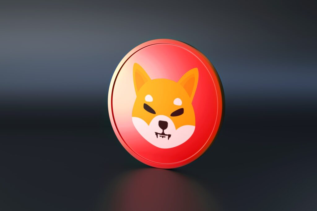 shiba coin 1024x683