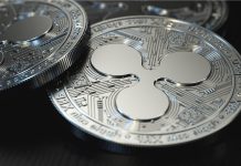 XRP ETF’leri Saatler İçinde 21 Milyon Dolar İşlem Hacmine Ulaştı XRP