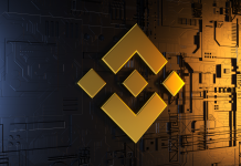 Binance’e Balina Girişi Zirvede: 2024’ten Bu Yana En Yüksek Seviye Binance