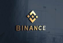 Binance, 11/11 Güncellemesiyle İki Yeni USDC İşlem Çiftini Listeleyecek Binance