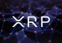 Bitwise XRP ETF’si 120 Milyon Dolarlık Girişle Dikkat Çekti XRP