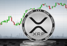 XRP Ledger’da Balina Aktivitesi 3 Ayın Zirvesinde XRP