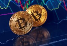 Cardano’nun Hydra Çözümünde Güvenlik Riski Uyarısı Bitcoin