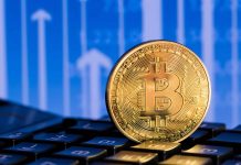 Grayscale: Bitcoin 6 Ay İçinde Yeni Zirve Yapabilir Bitcoin