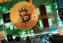 Bitcoin’de ‘Liveliness’ Yükselişte: Boğa Döngüsü Devam Edebilir Bitcoin (BTC)