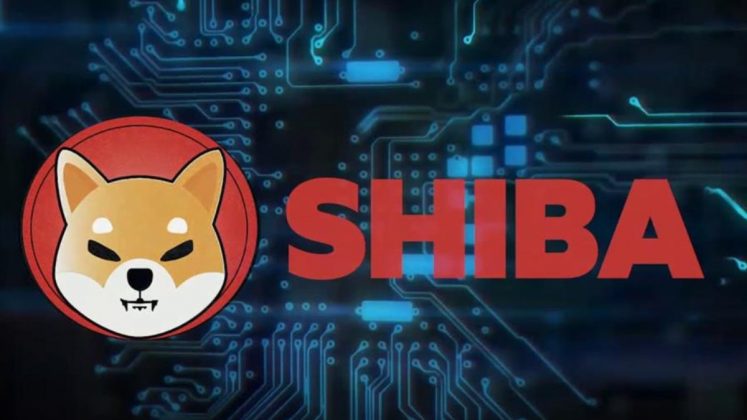 why cant i buy shiba inu on coinbase