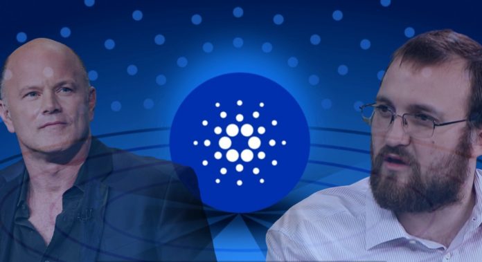 Hoskinson ve Novogratz