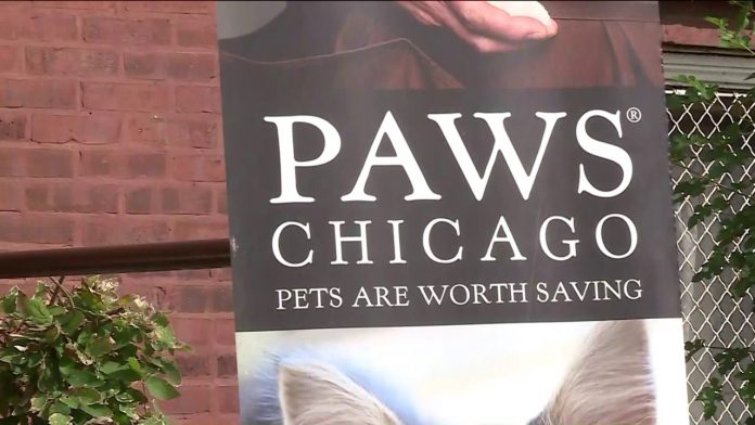 PAWS Chicago