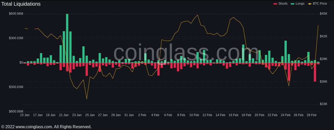 Crypto liquidations chart