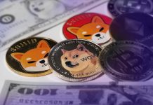 Memecoin Piyasasında Sert Düşüş: Yıllık Kayıp %65’i Aştı Meme