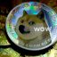 Dogecoin (DOGE)